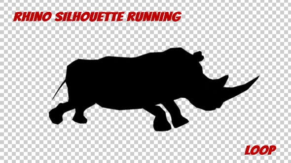 Rhino Silhouette Run Animation - Videohive 19882526 Download