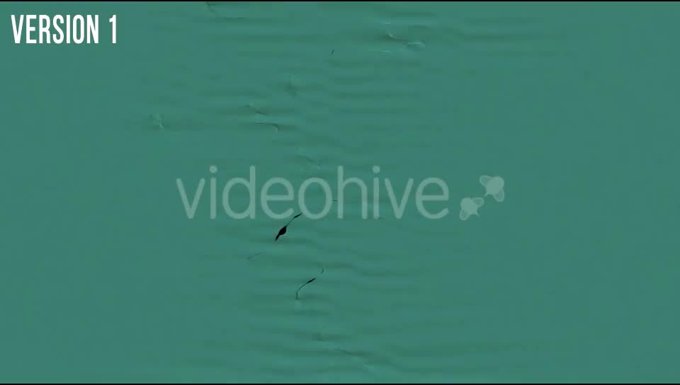 Ripping Cloth Transitions Videohive 20168035 Motion Graphics Image 1