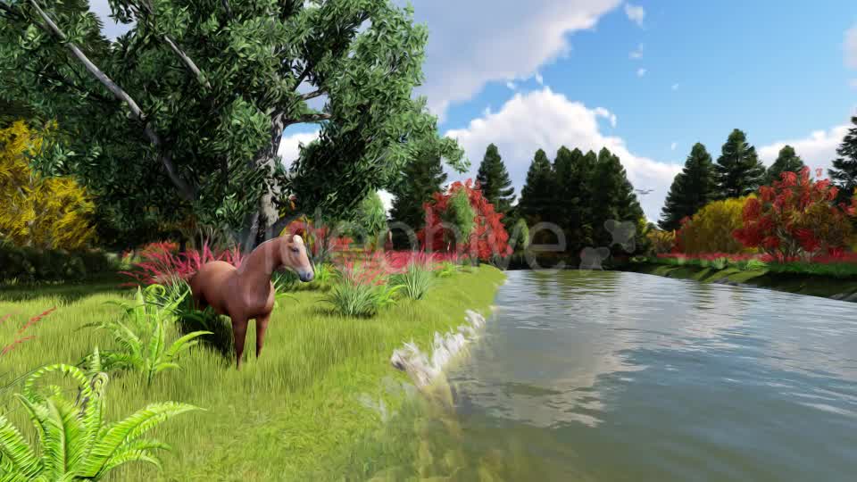 River Horse Matte Painting Videohive 17195768 Motion Graphics Image 8