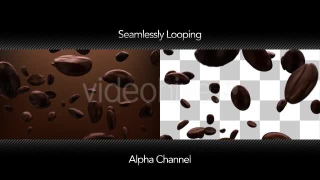 Roasted Coffee Beans Background Videohive 10060308 Motion Graphics Image 1