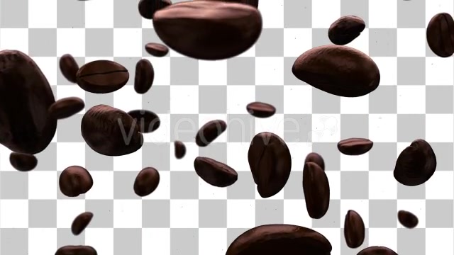 Roasted Coffee Beans Background Videohive 10060308 Motion Graphics Image 10