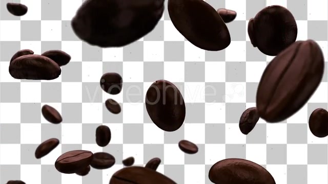 Roasted Coffee Beans Background Videohive 10060308 Motion Graphics Image 11