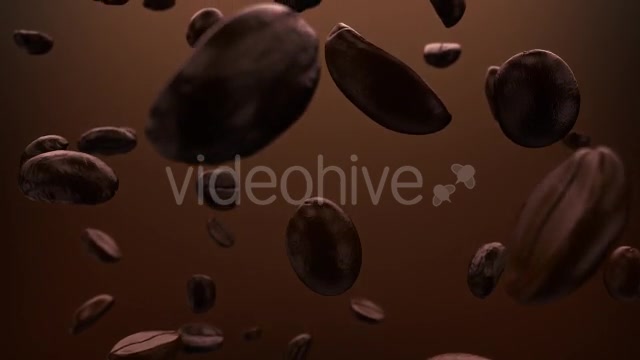 Roasted Coffee Beans Background Videohive 10060308 Motion Graphics Image 6
