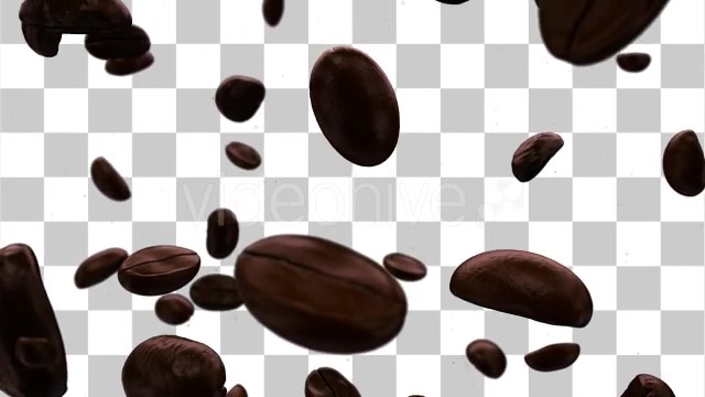 Roasted Coffee Beans Background Videohive 10060308 Motion Graphics Image 8