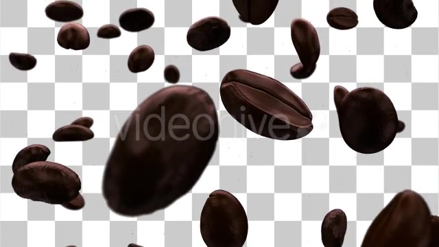 Roasted Coffee Beans Background Videohive 10060308 Motion Graphics Image 9