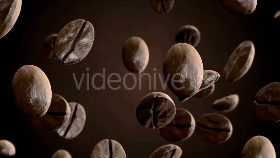 Roasted Coffee Beans Falling Down Videohive 8515465 Motion Graphics Image 2