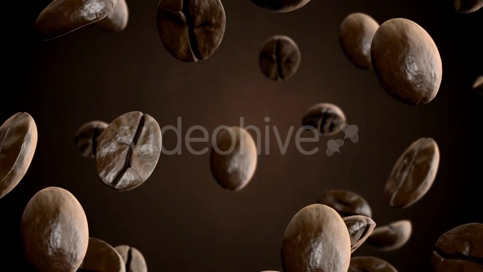 Roasted Coffee Beans Falling Down Videohive 8515465 Motion Graphics Image 3