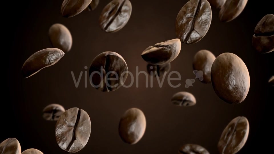 Roasted Coffee Beans Falling Down Videohive 8515465 Motion Graphics Image 4