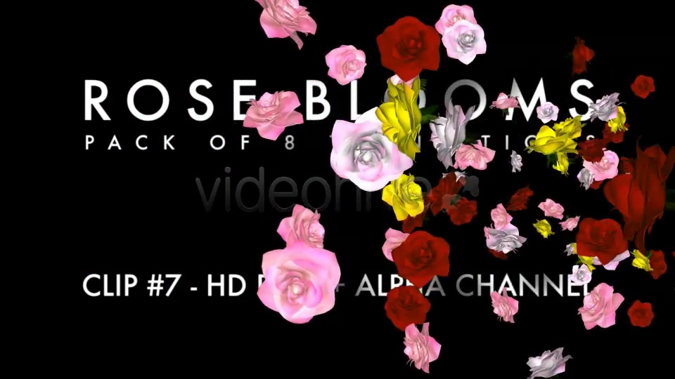 Rose Blooms Pack of 8 Transitions Videohive 3826257 Motion Graphics Image 10