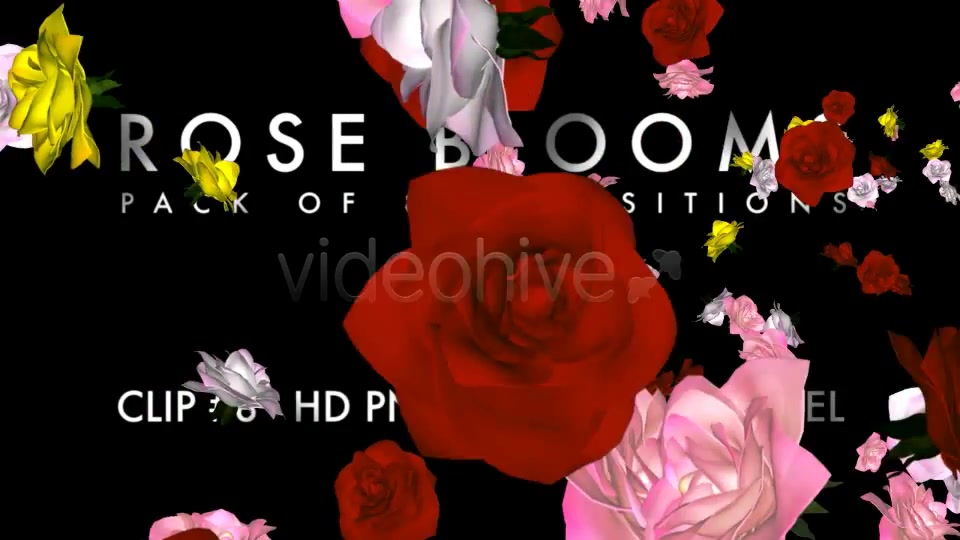 Rose Blooms Pack of 8 Transitions Videohive 3826257 Motion Graphics Image 11