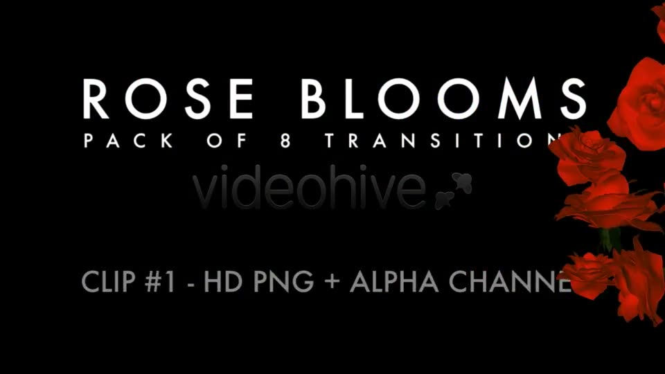 Rose Blooms Pack of 8 Transitions Videohive 3826257 Motion Graphics Image 2