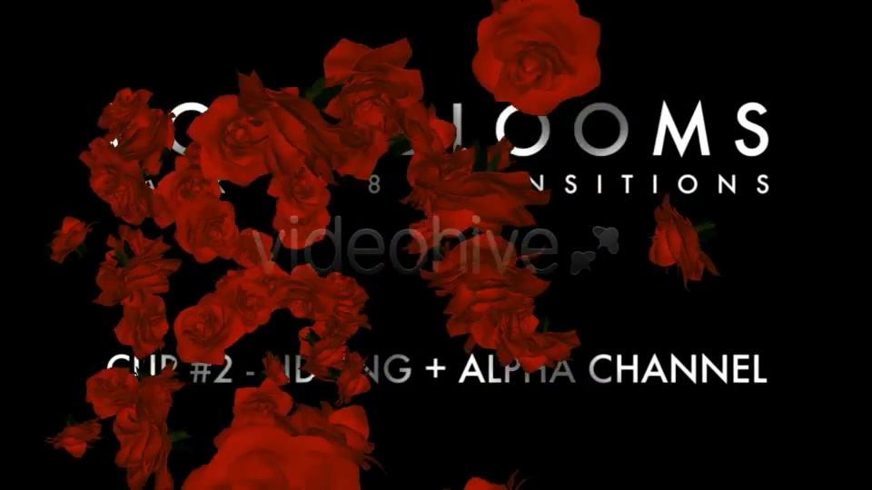 Rose Blooms Pack of 8 Transitions Videohive 3826257 Motion Graphics Image 3