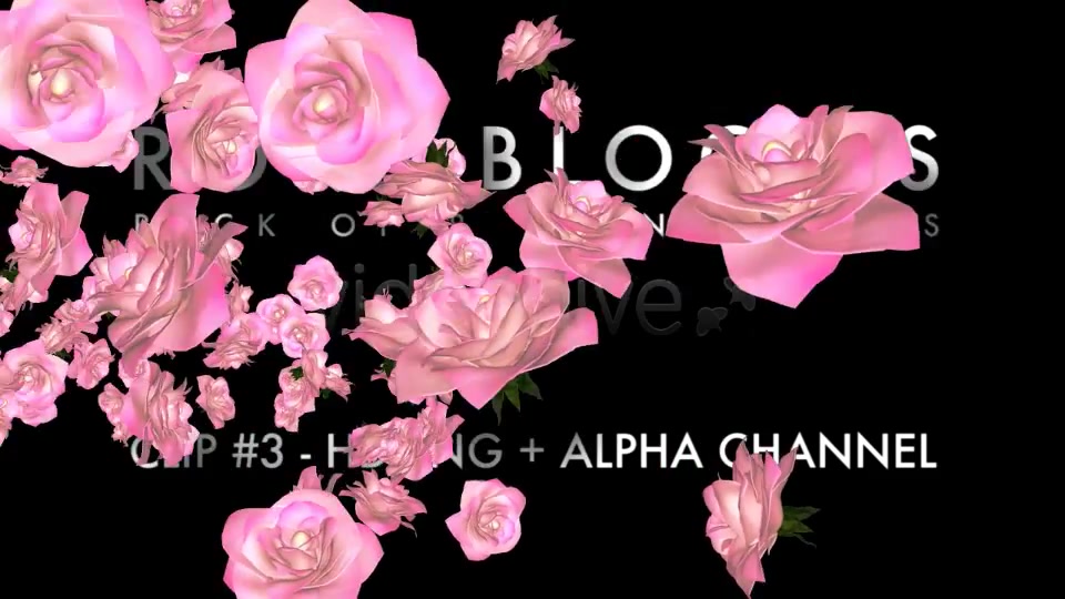 Rose Blooms Pack of 8 Transitions Videohive 3826257 Motion Graphics Image 4