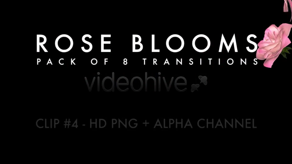Rose Blooms Pack of 8 Transitions Videohive 3826257 Motion Graphics Image 5