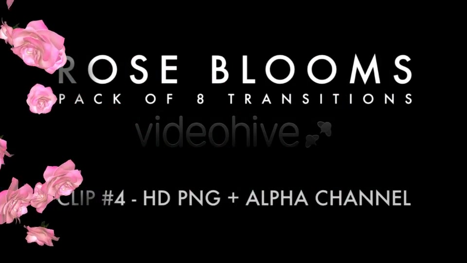 Rose Blooms Pack of 8 Transitions Videohive 3826257 Motion Graphics Image 6