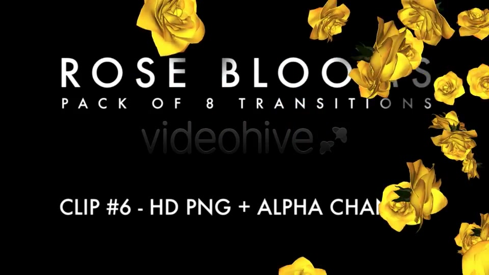 Rose Blooms Pack of 8 Transitions Videohive 3826257 Motion Graphics Image 8