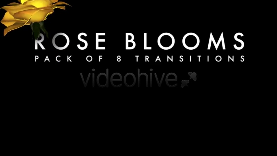Rose Blooms Pack of 8 Transitions Videohive 3826257 Motion Graphics Image 9