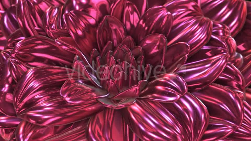 Rose Flower Rotation Background Videohive 20237096 Motion Graphics Image 1