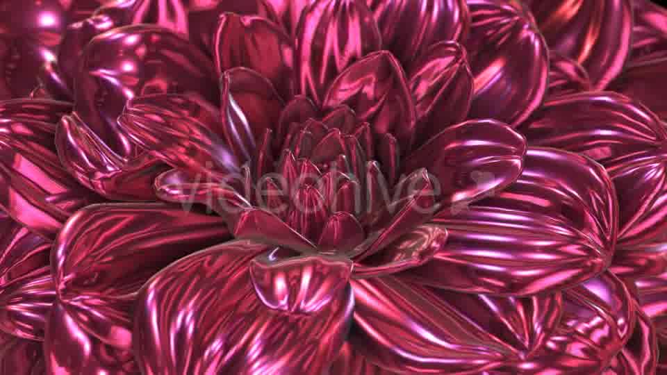 Rose Flower Rotation Background Videohive 20237096 Motion Graphics Image 10