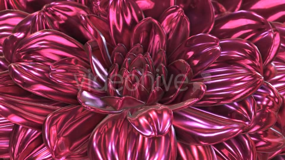 Rose Flower Rotation Background Videohive 20237096 Motion Graphics Image 2