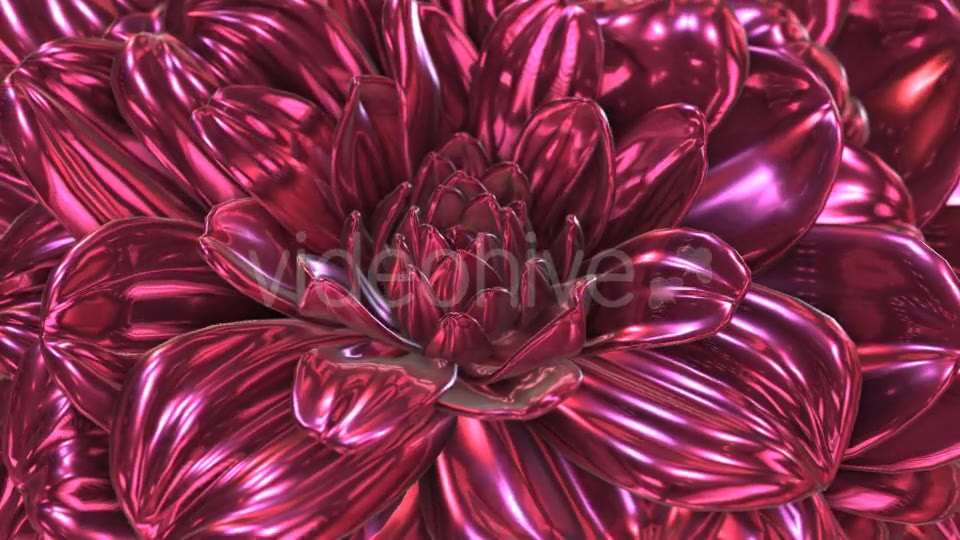 Rose Flower Rotation Background Videohive 20237096 Motion Graphics Image 3