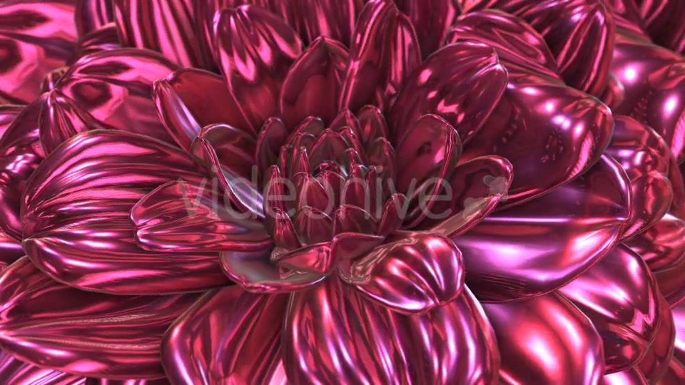 Rose Flower Rotation Background Videohive 20237096 Motion Graphics Image 4