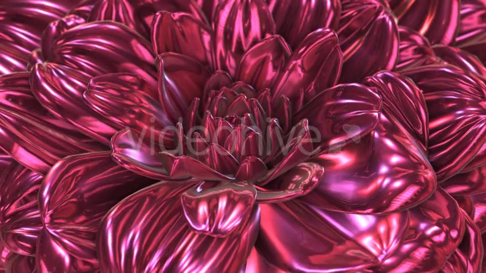 Rose Flower Rotation Background Videohive 20237096 Motion Graphics Image 5