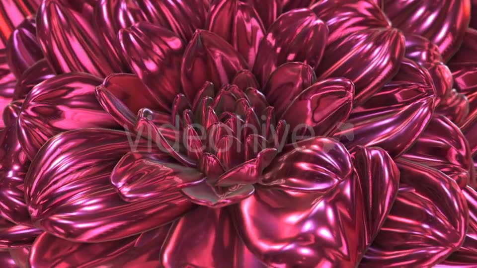 Rose Flower Rotation Background Videohive 20237096 Motion Graphics Image 6