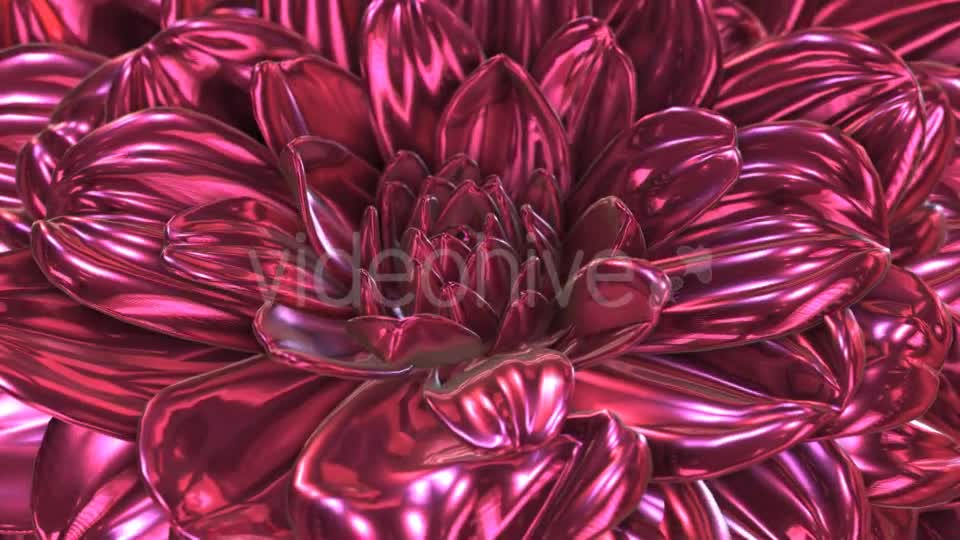 Rose Flower Rotation Background Videohive 20237096 Motion Graphics Image 7