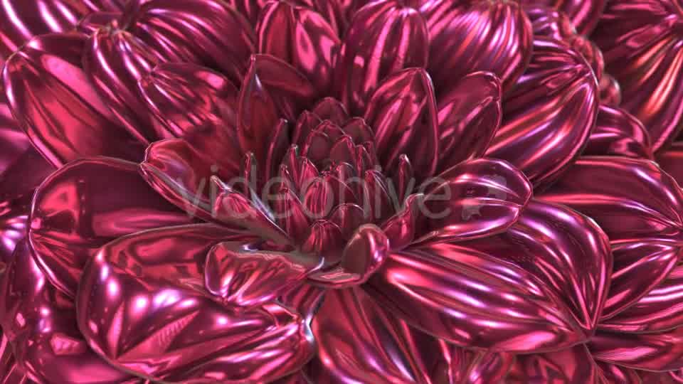 Rose Flower Rotation Background Videohive 20237096 Motion Graphics Image 8