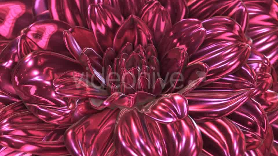 Rose Flower Rotation Background Videohive 20237096 Motion Graphics Image 9