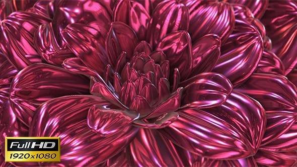 Rose Flower Rotation Background - 20237096 Download Videohive