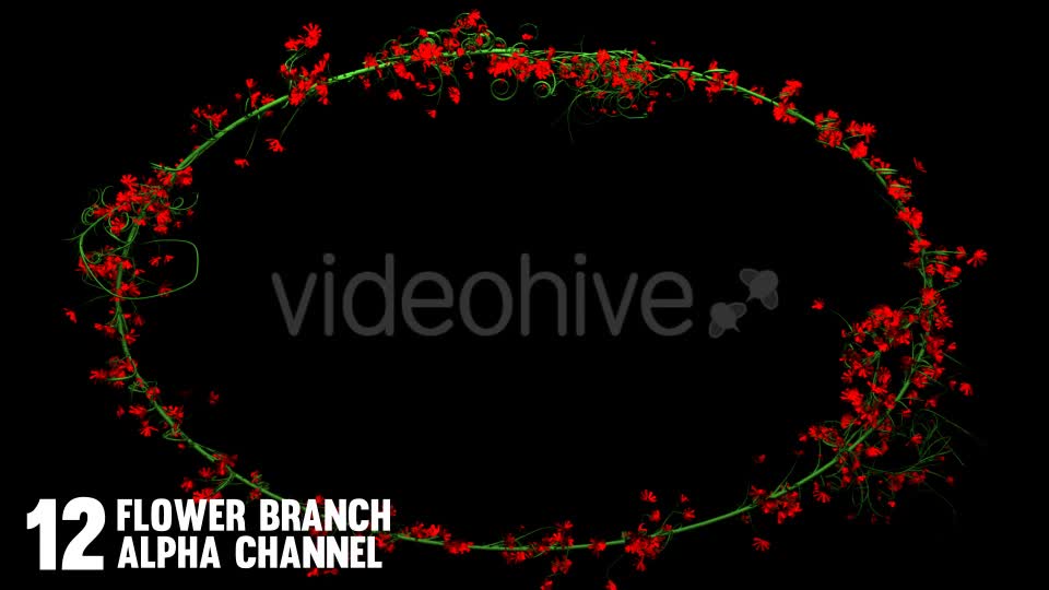 Rose Flowers Growing (12 Pack) Videohive 12649538 Motion Graphics Image 2