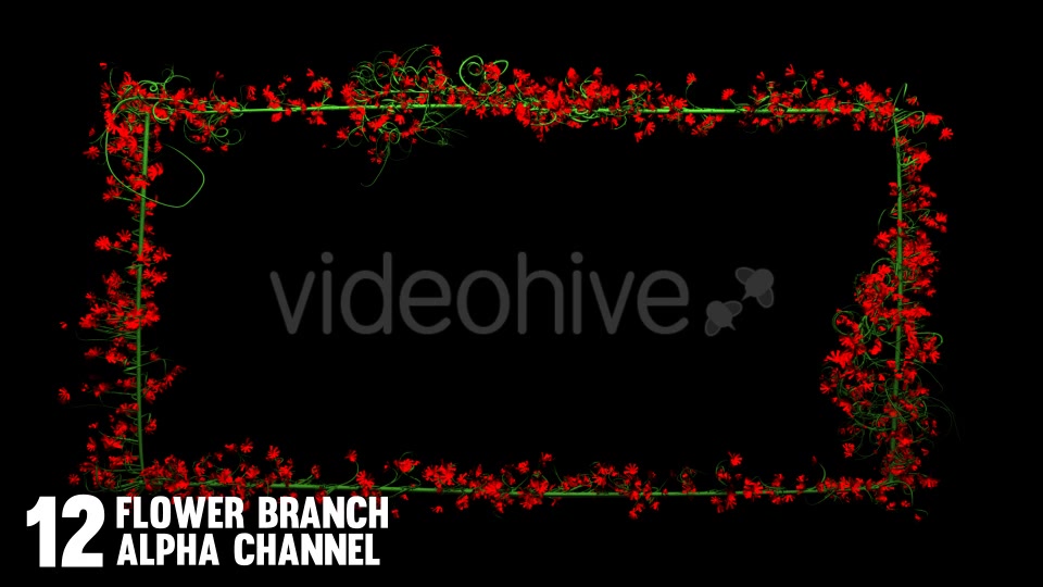Rose Flowers Growing (12 Pack) Videohive 12649538 Motion Graphics Image 7
