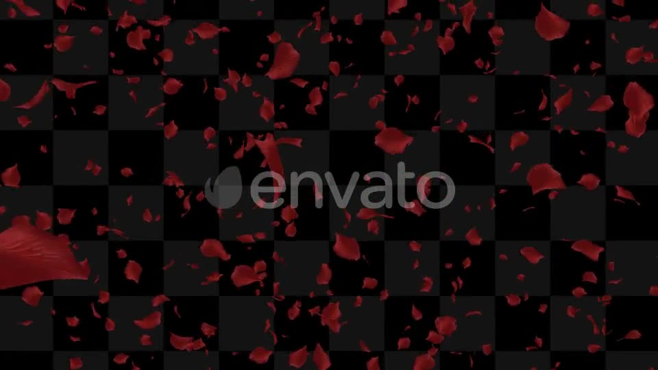 Rose Loop Videohive 22370892 Motion Graphics Image 1