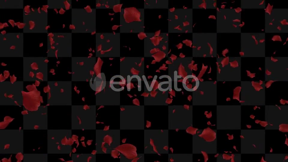 Rose Loop Videohive 22370892 Motion Graphics Image 2