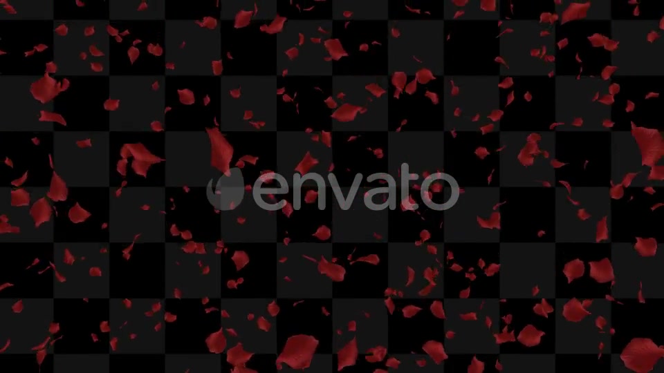 Rose Loop Videohive 22370892 Motion Graphics Image 3
