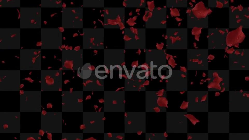 Rose Loop Videohive 22370892 Motion Graphics Image 4