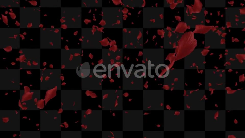 Rose Loop Videohive 22370892 Motion Graphics Image 5