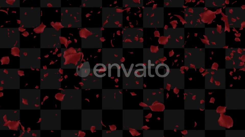 Rose Loop Videohive 22370892 Motion Graphics Image 6