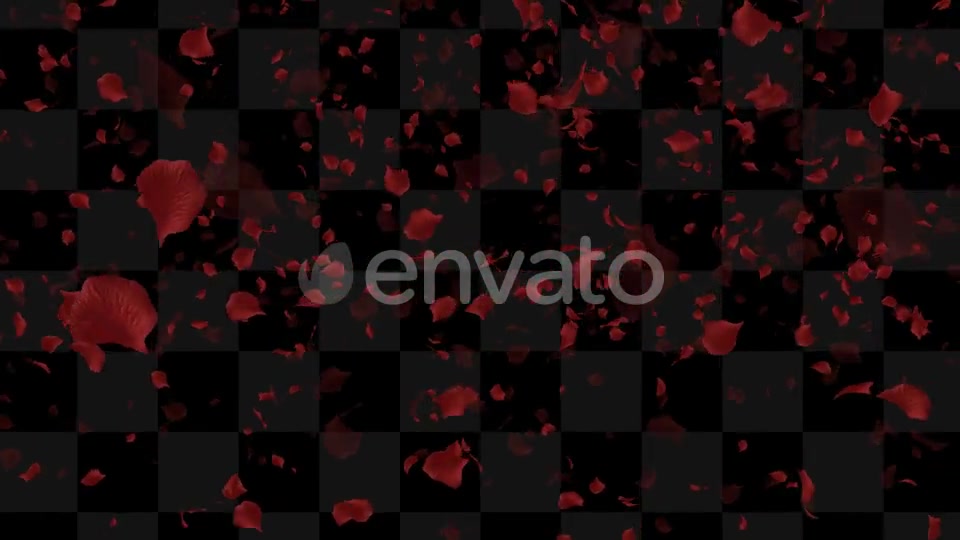 Rose Loop Videohive 22370892 Motion Graphics Image 7