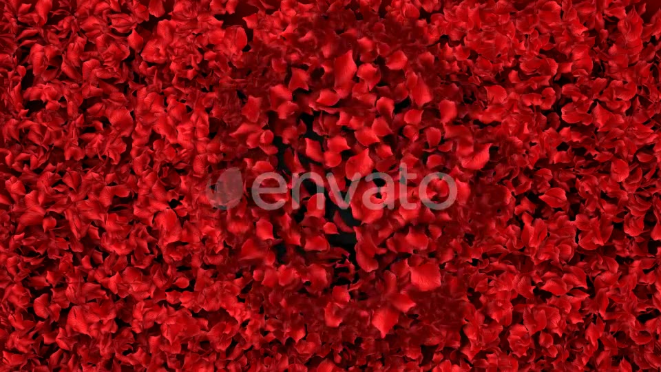 Rose Loop Videohive 22370892 Motion Graphics Image 8