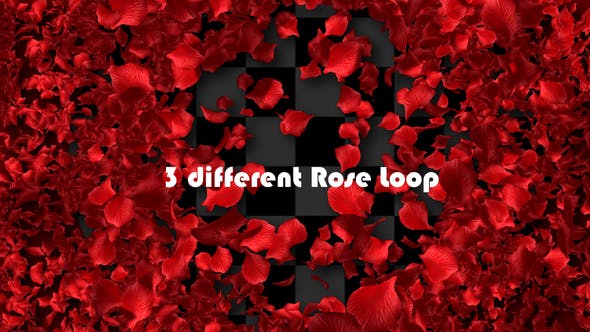 Rose Loop - Videohive Download 22370892