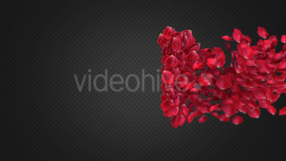 Rose Petal Transitions Pack Videohive 21294817 Motion Graphics Image 1