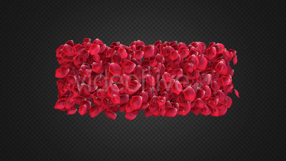 Rose Petal Transitions Pack Videohive 21294817 Motion Graphics Image 12