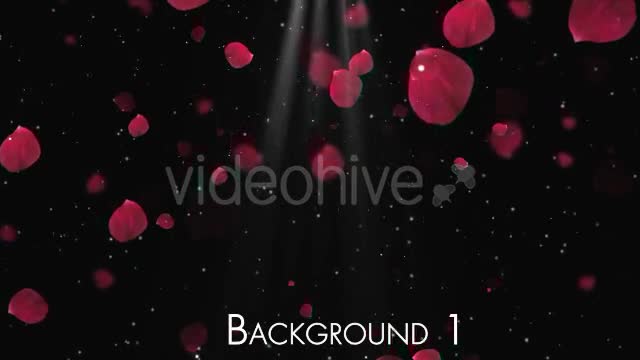 Rose Petals Videohive 20291260 Motion Graphics Image 1