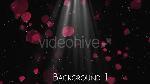 Rose Petals Videohive 20291260 Motion Graphics Image 2