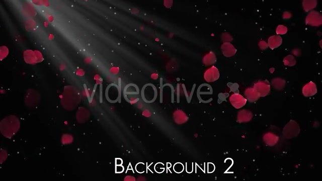 Rose Petals Videohive 20291260 Motion Graphics Image 4