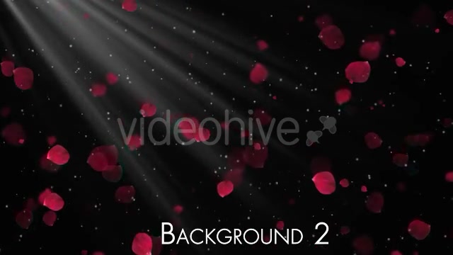 Rose Petals Videohive 20291260 Motion Graphics Image 5