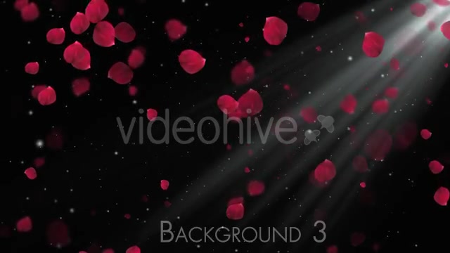 Rose Petals Videohive 20291260 Motion Graphics Image 6